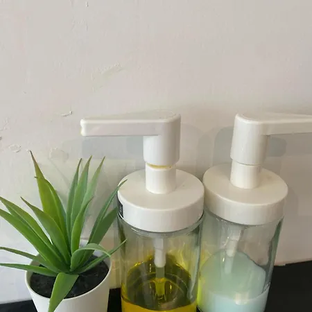 Le Solferino Centre Διαμέρισμα Τουλούζη