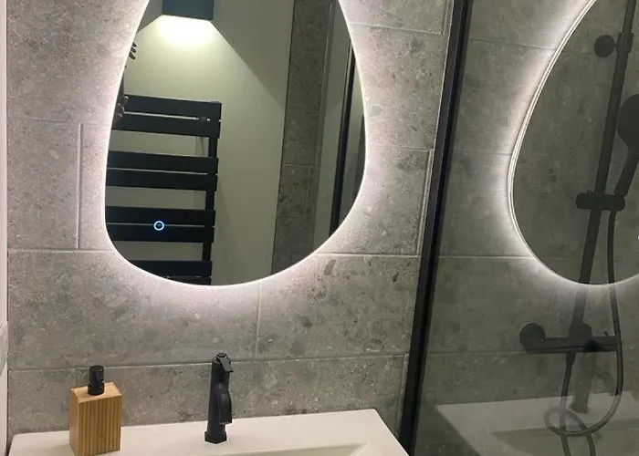 Διαμέρισμα Le Solferino Centre Τουλούζη