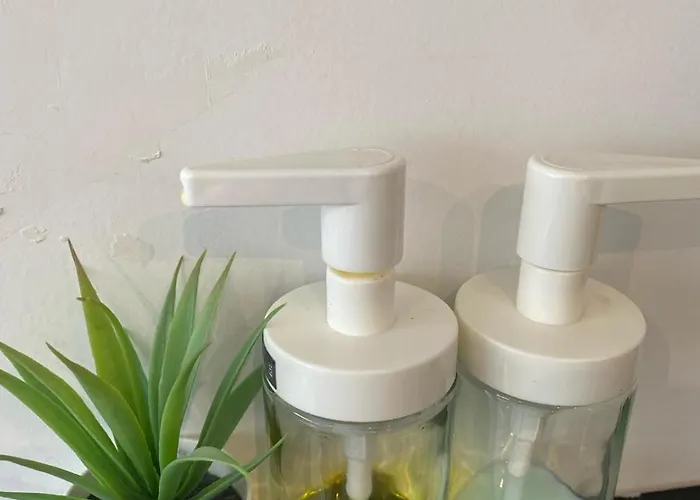 Le Solferino Centre Daire Toulouse